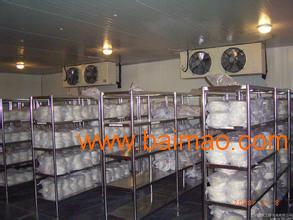 杭州食用冰塊批發(fā)與供應(yīng)全指南 價格、廠家及運(yùn)輸服務(wù)解析